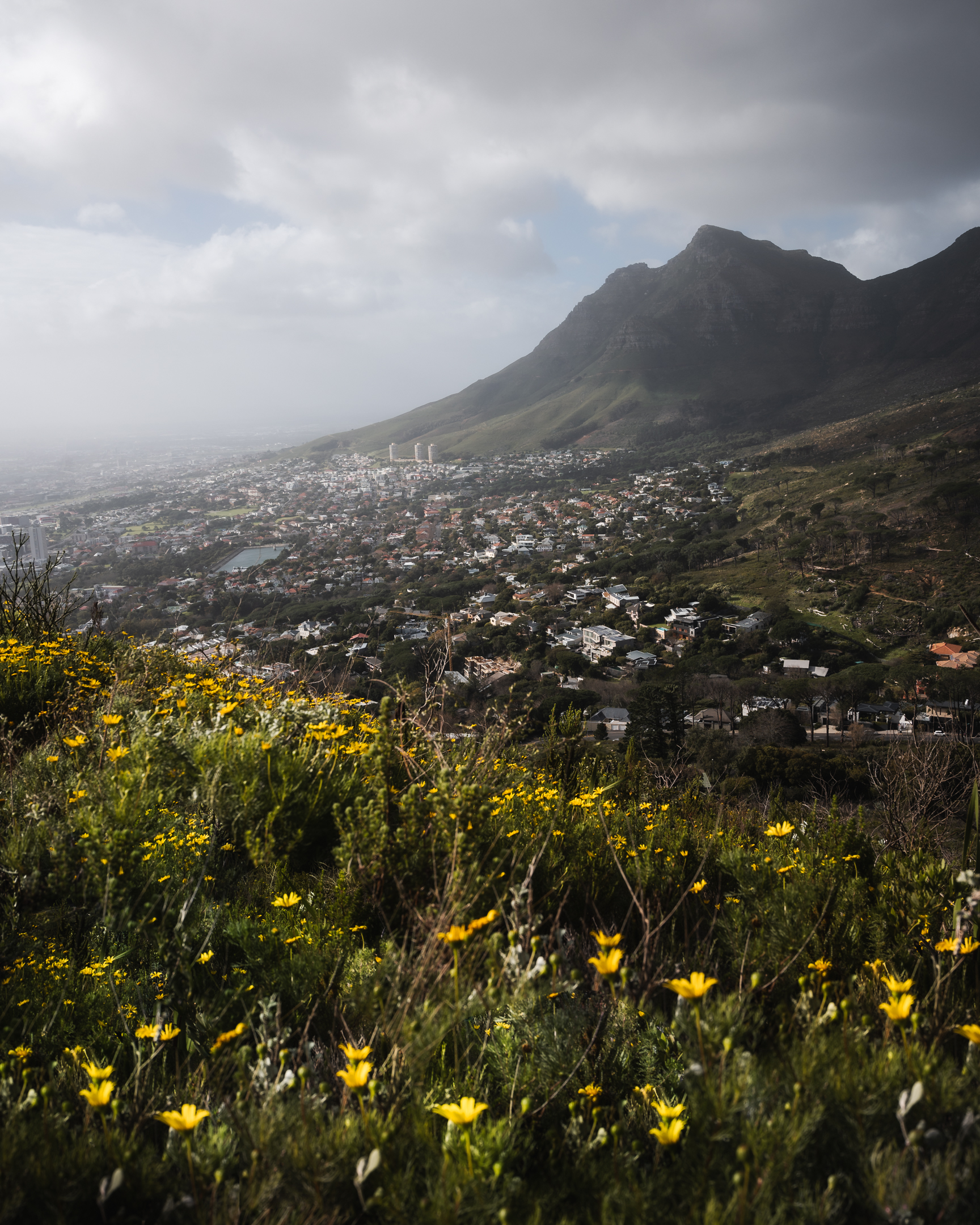 A view of Cape Town during a hike to the summit of Lion's Head.